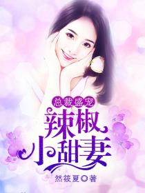 总裁盛宠，辣椒小甜妻小说封面